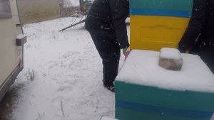 Пленку вернули сетку открыли Вентиляция улья