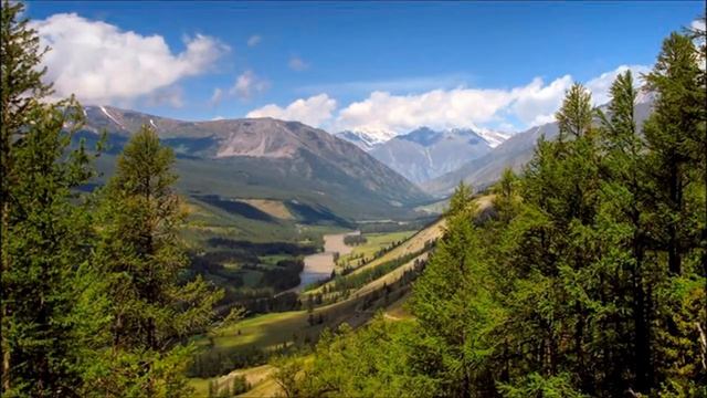 Про Нестареющего Из Сибири, Современная История смотреть онлайн