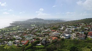 Build Your Dreams! - Tracy Allen - Coldwell Banker Realty - Hawaii Real Estate