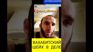 Омар Алибутаев сходит с ума