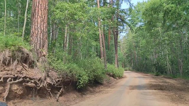 Забайкальский национальный парк(5.07.24)