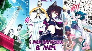 О Моём Перерождении в Меч  \ Мнение о Ранобэ