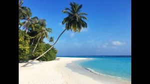 Мальдивы  История