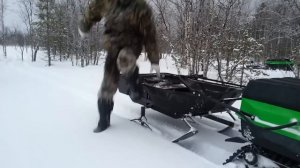 Всесезонный плавающий мотобуксировщик "БК" от РОСТИН