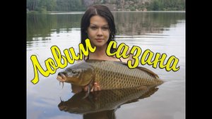 Как поймать Сазана?! Рыбалка на реке Чулым 2017 кукуруза bonduelle рулит