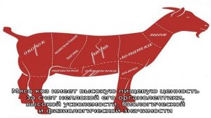 Мясо козы
