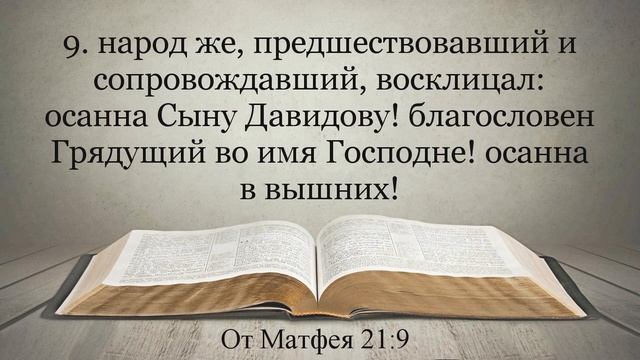 Лучшая Видео Библия. Чтение Евангелие от Матфея. Главы 20-21. Синодальный перевод