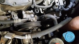 2010 Honda Crosstour alternator replacement