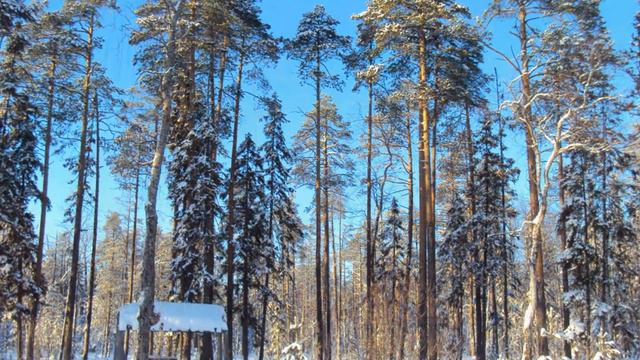 По зимним озерам.  Фотозарисовки
