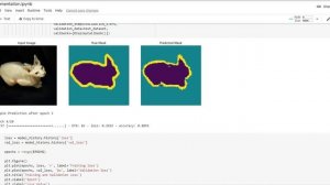 image segmentation example for practice