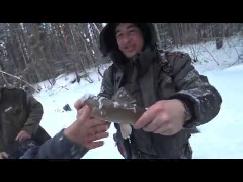 ТАЕЖНАЯ РЫБАЛКА НА ЛЫЖАХ. РЕЧКА. ХАРИУС. ЛЕНОК. НОЧУЕМ В ТАЕЖНОЙ ЗИМУШКЕ. ЖАРЕННЫЙ ЛЕНОК. БЛИНЧИКИ !