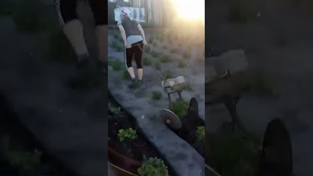 Как можно окучивать картошку смотреть онлайн