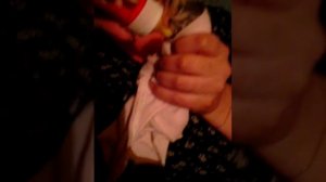 Кормление котят без кошки