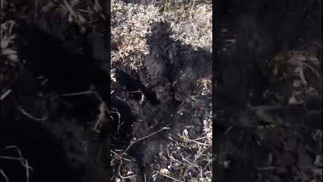 Отличный коп.Хороший металл на новом месте!!! смотреть онлайн