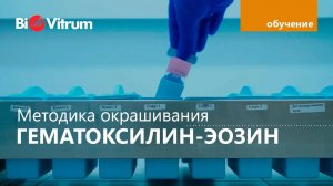 Окраска гематоксилин-эозином