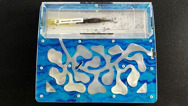 AntReality 1.2 - Что жнецы делают с маком? смотреть онлайн