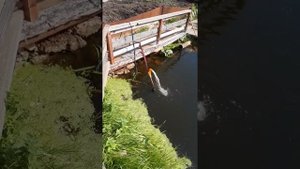 Аэрация пруда дренажным насосом