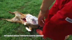 АРЬС, ШИР ТҮҮХИЙ ЭД БЭЛТГЭЛИЙН ЧАНАРЫГ САЙЖРУУЛАХ СУРГАЛТ