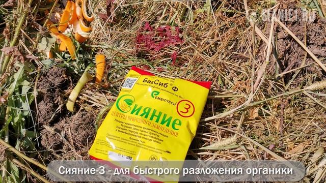 Кухонные отходы – ЛЕГКО и ПРОСТО КОМПОСТИРУЕМ прямо в квартире смотреть онлайн