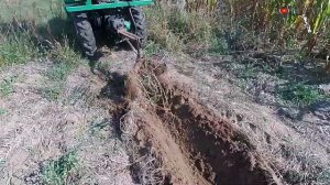 Копка картошки, что была под мульчей.