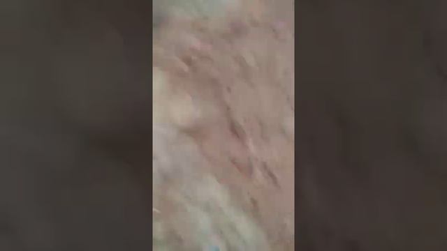 Устройство фундамента, Ижевск, Софт 29 смотреть онлайн