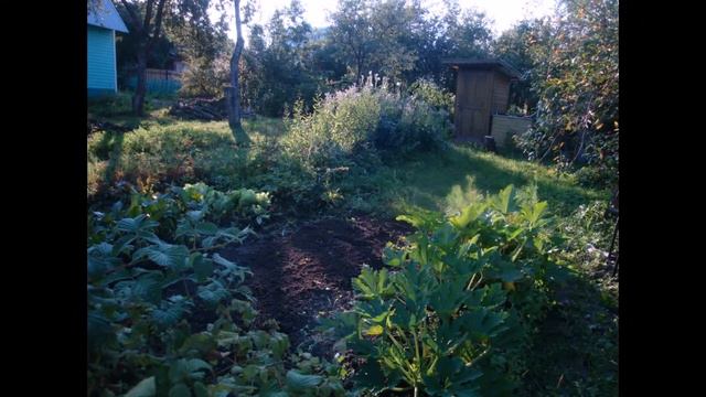 Лето на даче 2014 смотреть онлайн