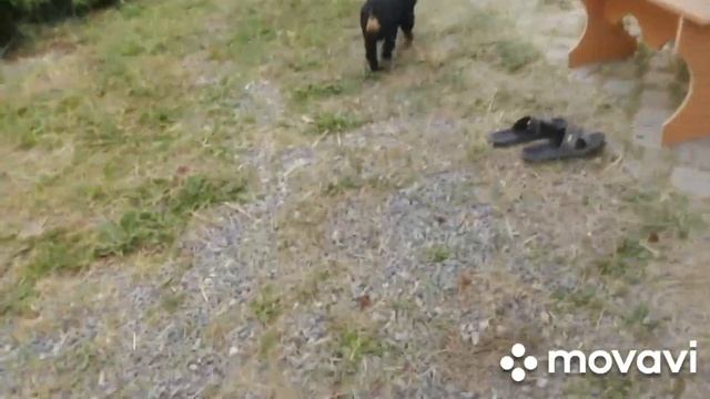 КУПИЛИ ДОМ В ДЕРЕВНЕ /УБРАЛАСЬ В ДОМЕ /СДЕЛАЛИ НАСТИЛ В БАНЕ /НА ЖАРИЛА РЫБЫ /РАБОТА КИПИТ смотреть онлайн