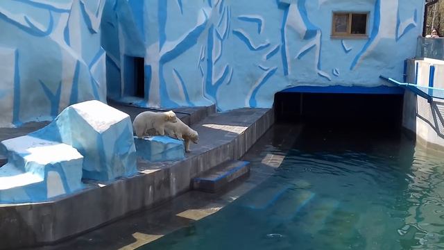 Герда сбежала от деток смотреть онлайн