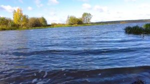 Отзыв рыбака на активатор клёва Фиш Хант (Fish Hunt). Только пришел с рыбалки