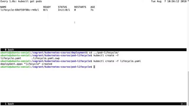 16 Demo Pod Lifecycle смотреть онлайн