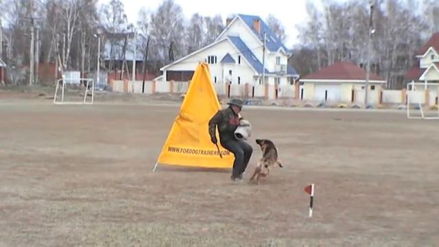 Проверка поведения Иркутск 02.05.15 + Зарисовки с выставки смотреть онлайн