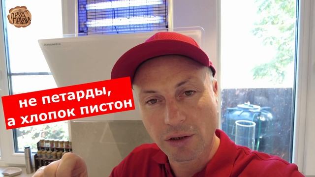 Мухобойка | Антимоскитная лампа | Честный обзор