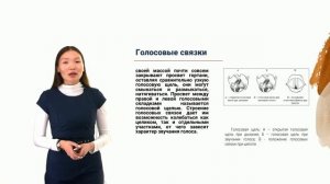 Модуль 2. Тема 2. Периферический речевой аппарат.