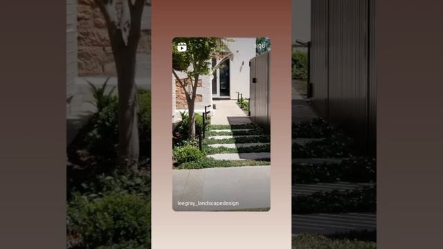 Plant Tiles of Dichondra repens between the pavers смотреть онлайн