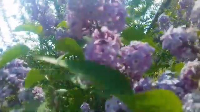 С Днем Защиты Детей! Оригинальное Пожелание!