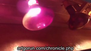 инфракрасные лампы