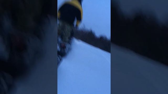 Мотобуксировщик Paxus смотреть онлайн