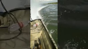 Мотор Болотоход 24 л с