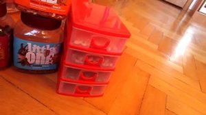 Что любят мои дегу