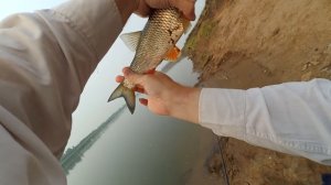 Рыбалка на штекер 27.07.2016 на р. Белая.