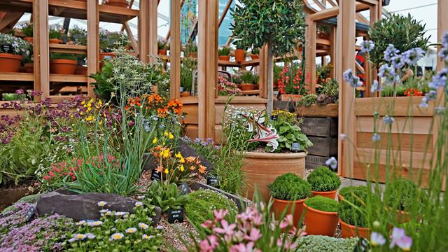 Анонс журнала "Дом и сад" № 4(97) 2017 г. смотреть онлайн