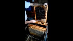 Вилочка из косы