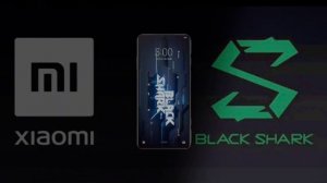 xiaomi black shark 5