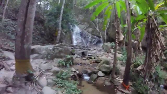 Жизнь в диких джунглях - супер место с водопадом около Чиангмая смотреть онлайн