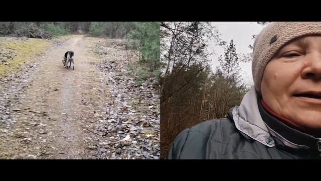 Все идет по плану. Утка села на яйца, будем ждать пополнения.