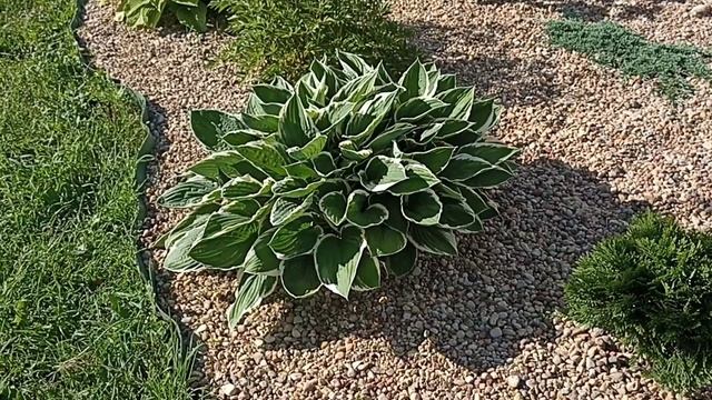 Всё, что нужно знать о хостах ? смотреть онлайн