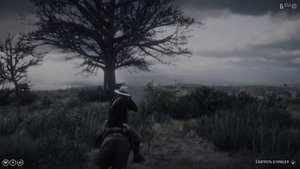 Самая редкая КРАСИВАЯ лошадь в RDR2 | Пейнтхорс СПЛЭШ-УАЙТ
