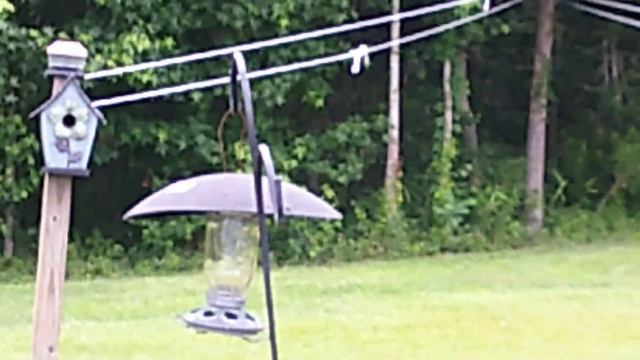 NAPATEK 2.7K vlogging camera 1080p resolution test footage смотреть онлайн