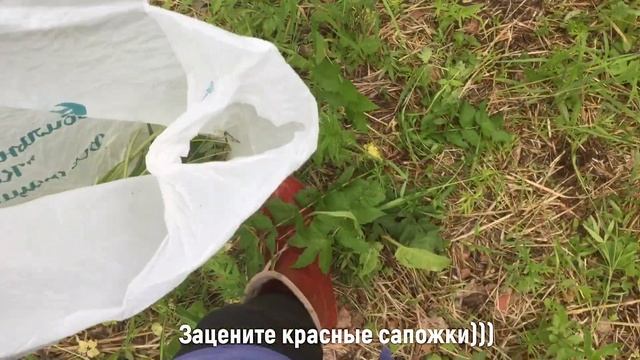 ДАЧНЫЙ СТИЛЬ// Заблудились в лесу?!/ Танец рукожопа/ Брат за рулем.../ Комары сгрызли детей смотреть онлайн
