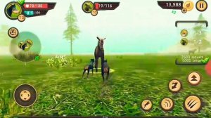 Обзор игры Симулятор собаки #1 (часть 1)